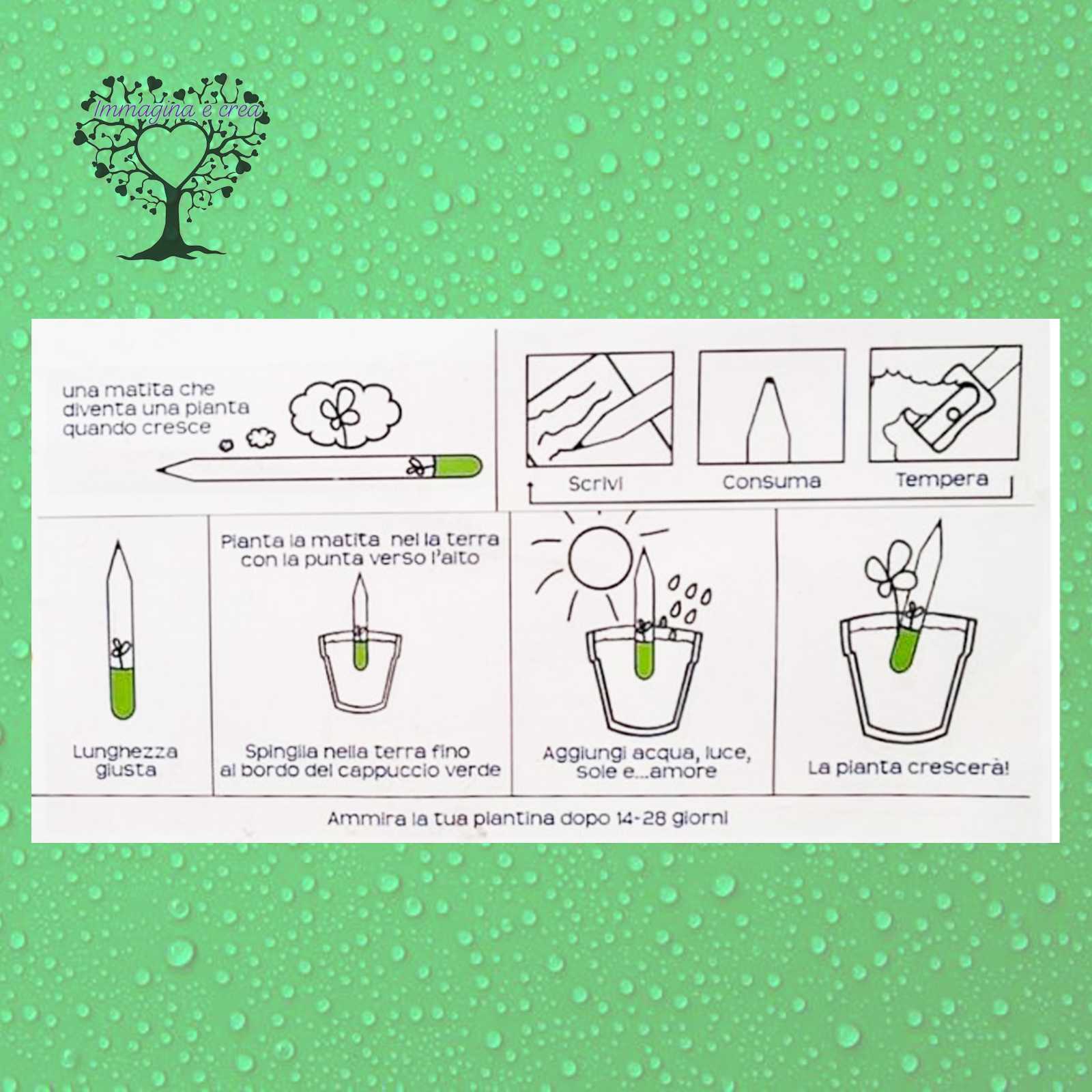 Matita piantabile Buona pasqua con capsula biodegradabile che contiene i  semi.Diventa una pianta.idea regalo originale per ogni occasione – Immagina  e Crea